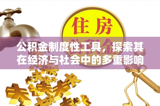 融安公积金制度性工具，探索其在经济与社会中的多重影响