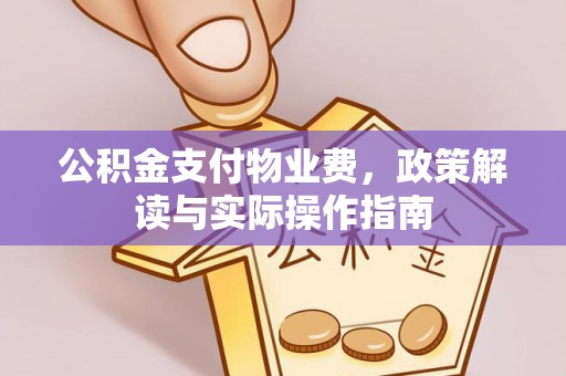 融安公积金支付物业费，政策解读与实际操作指南