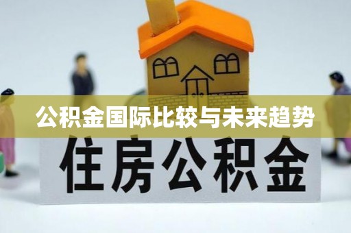 融安公积金国际比较与未来趋势