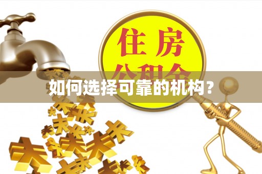 融安如何选择可靠的机构？