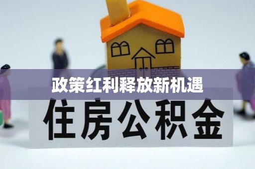 融安政策红利释放新机遇