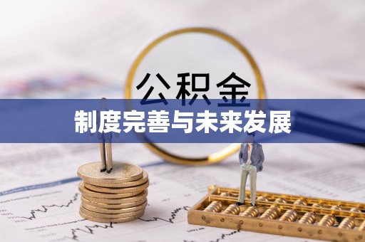 融安制度完善与未来发展