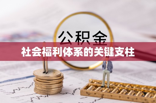 融安社会福利体系的关键支柱