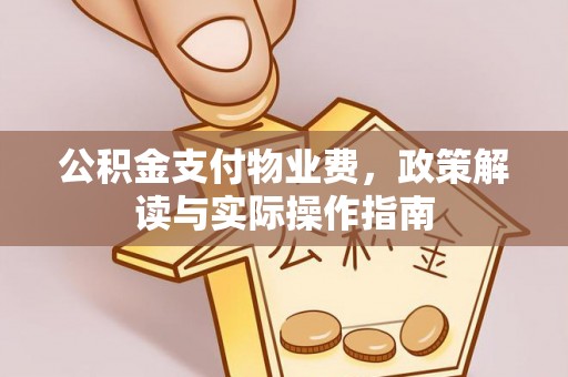 融安公积金支付物业费，政策解读与实际操作指南