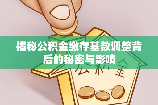 融安揭秘公积金缴存基数调整背后的秘密与影响