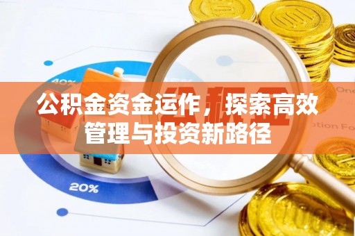融安公积金资金运作，探索高效管理与投资新路径