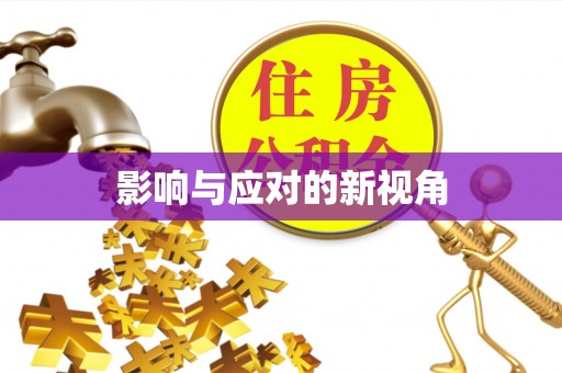 融安影响与应对的新视角