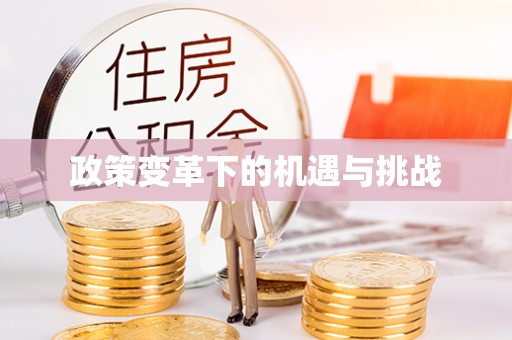 融安政策变革下的机遇与挑战