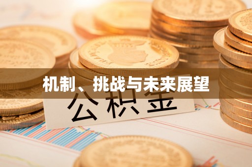 融安机制、挑战与未来展望